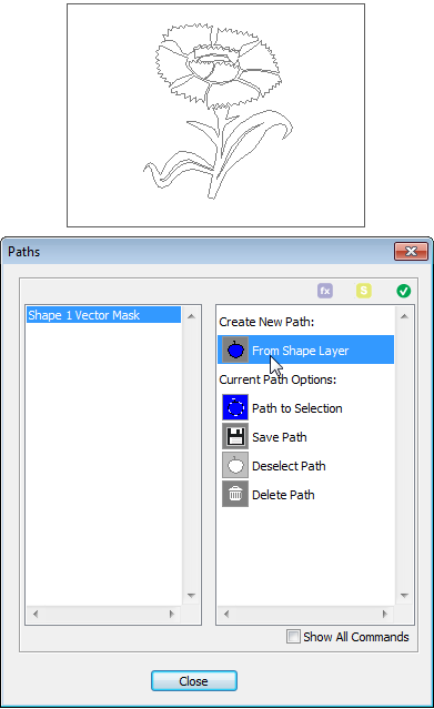 Creating path from shape layer